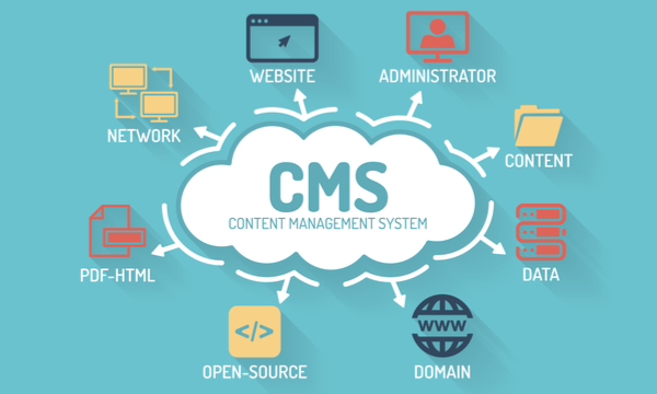 what is a CMS